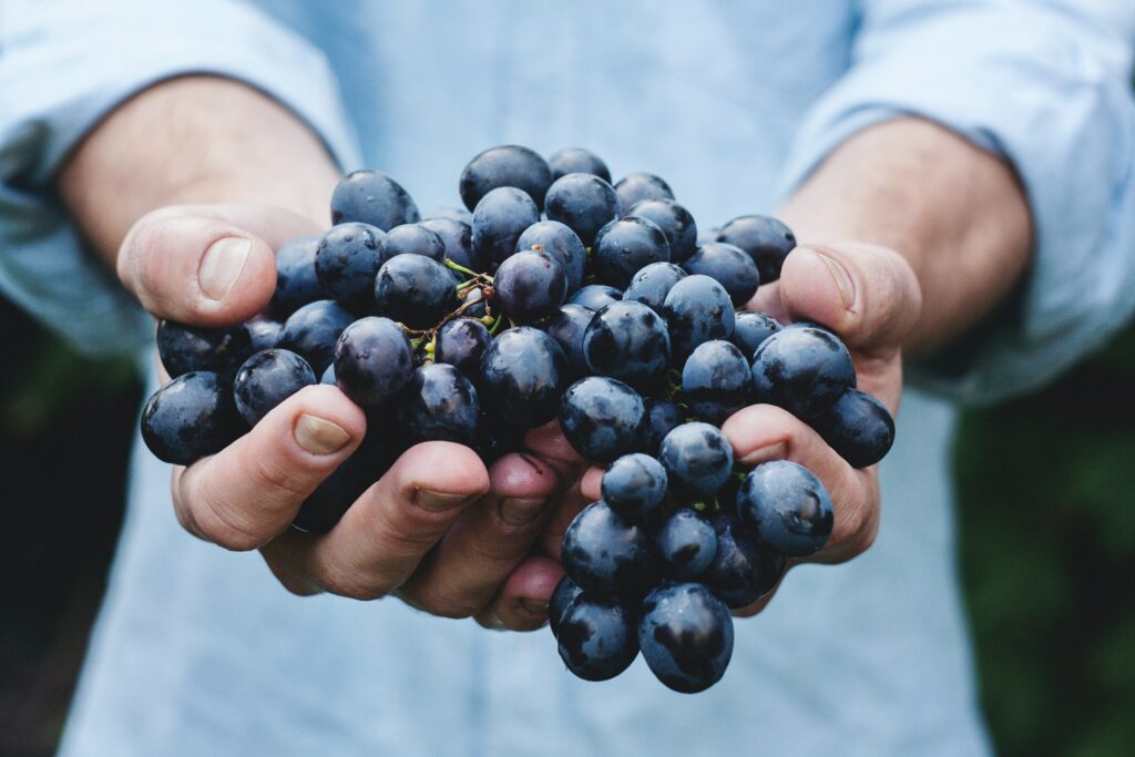 grapes in hands