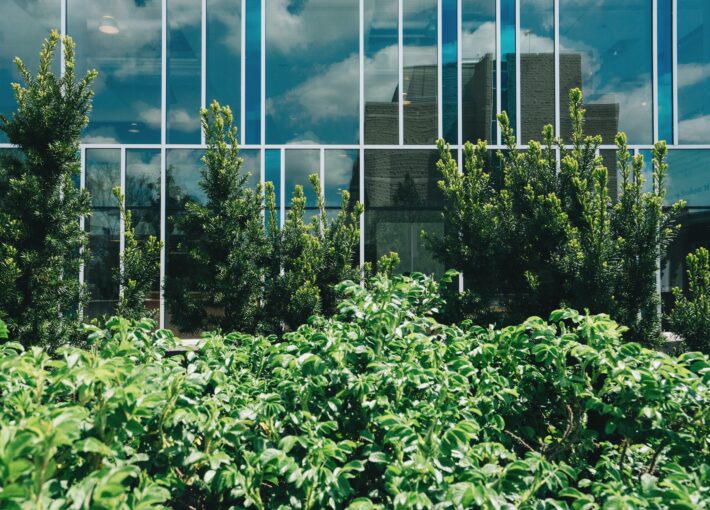 Plants in front of an office building