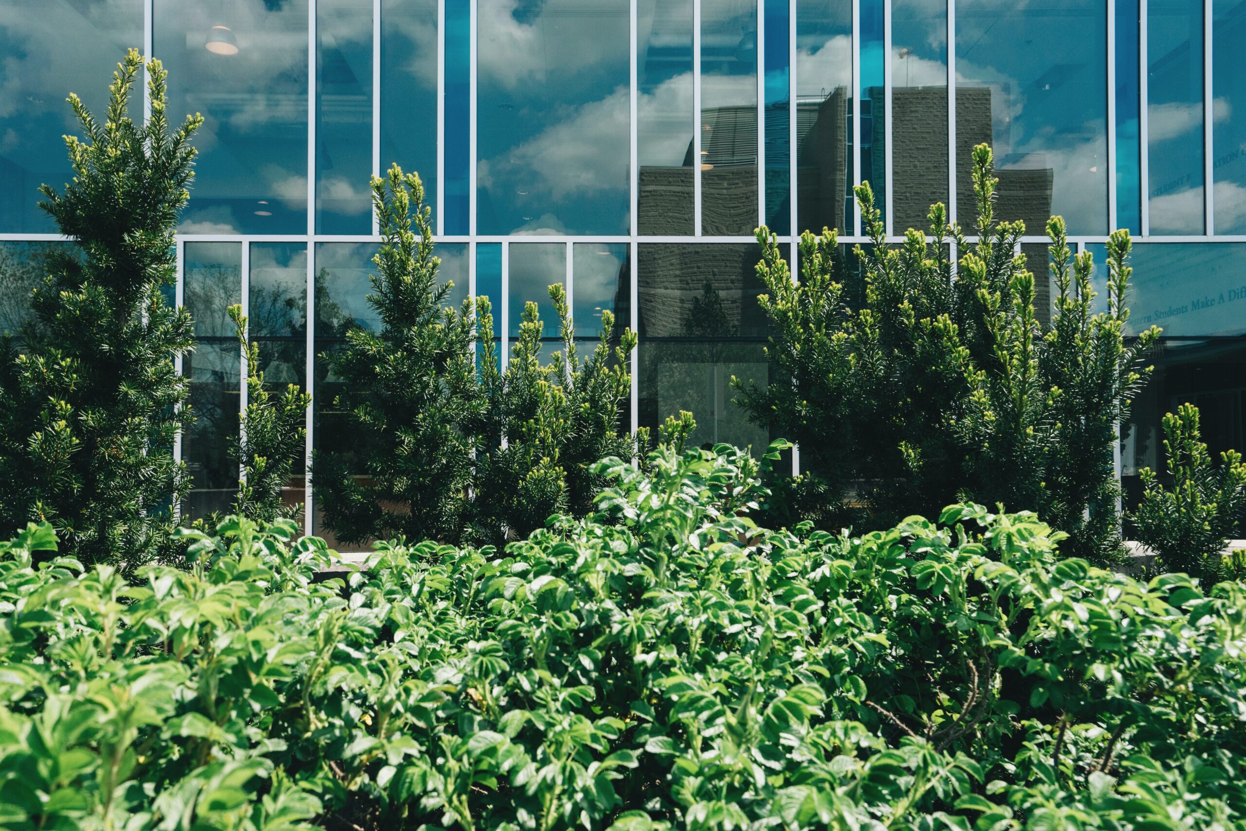 Plants in front of an office building