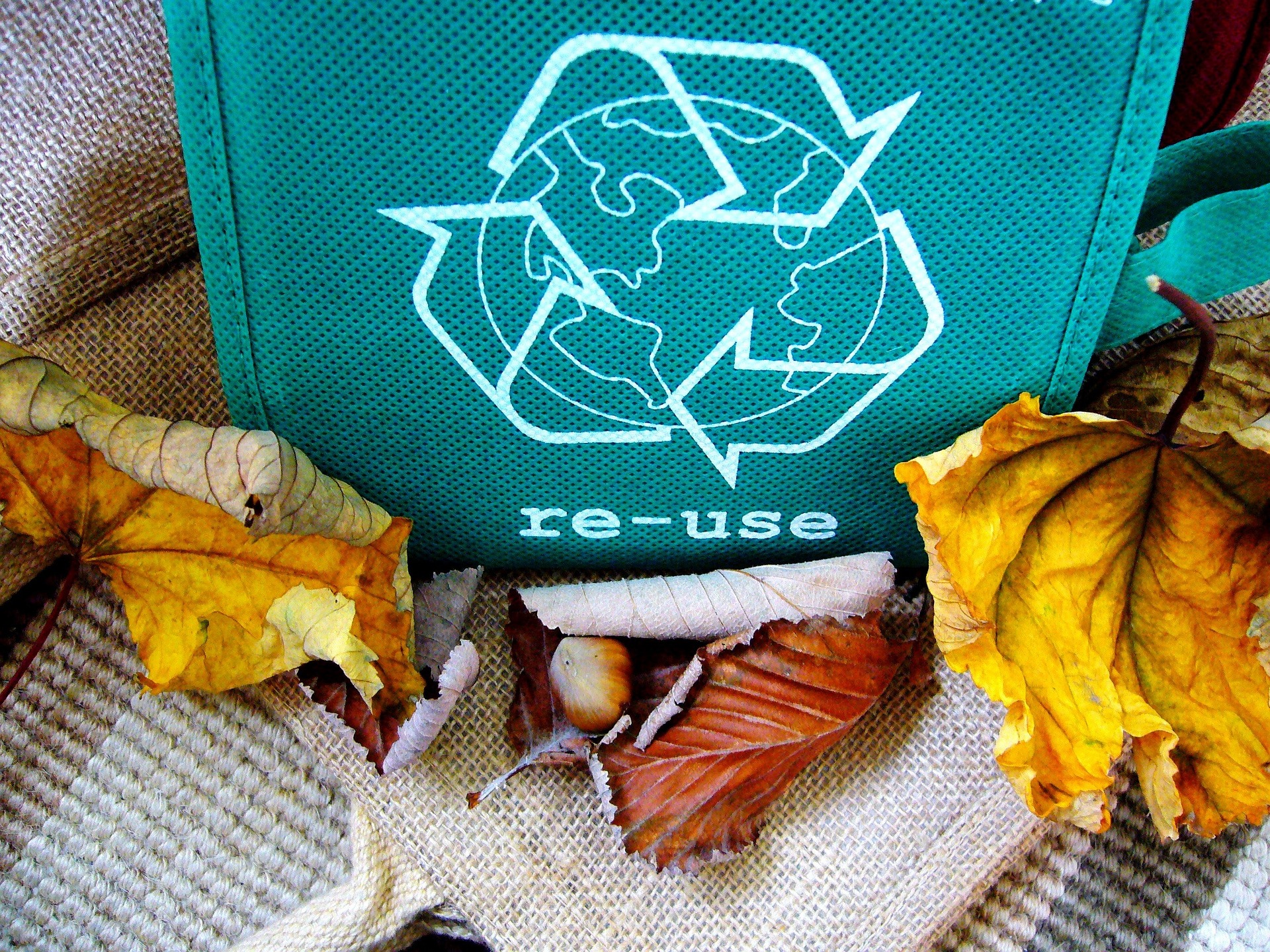 reusable tote bag