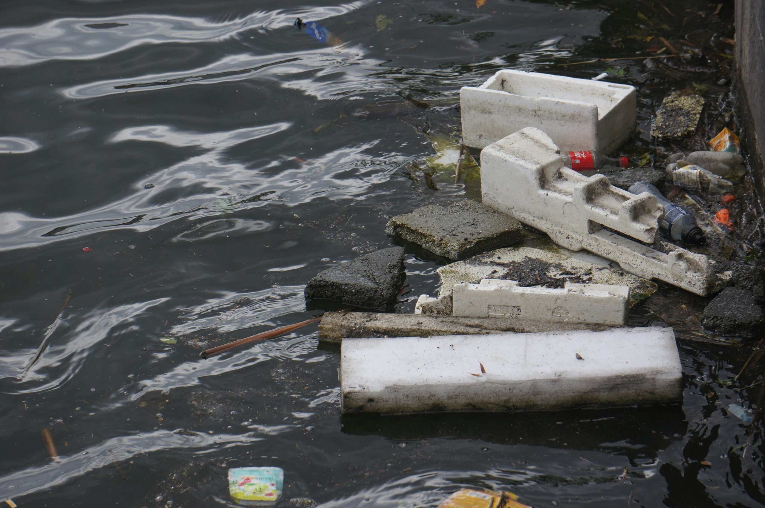 styrofoam polystyrene pollution in the water